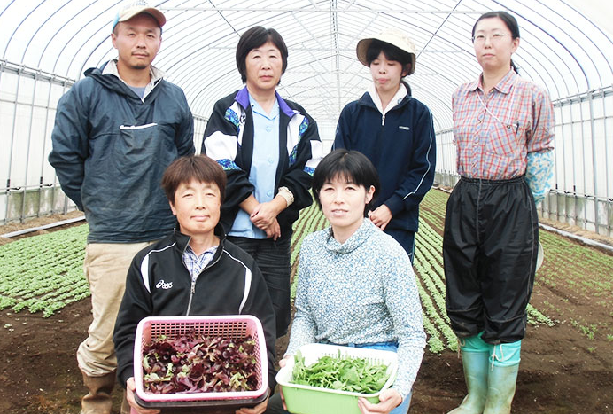 小松園芸について 有限会社 小松園芸